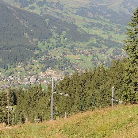 58 * Grindelwald